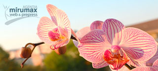 banner mobile
